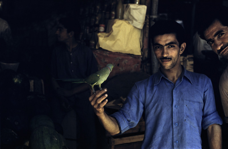 Man with a bird, Shiraz, 1956. © The Inge Morath Foundation/Magnum Photos